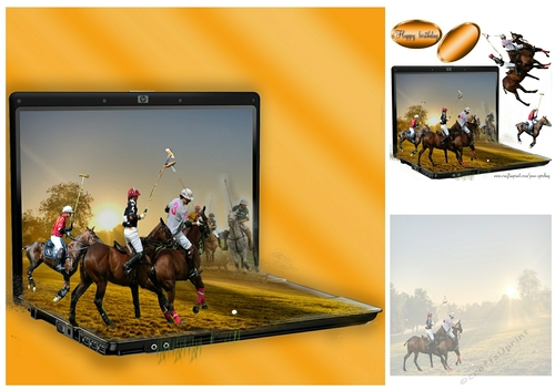 game of polo 