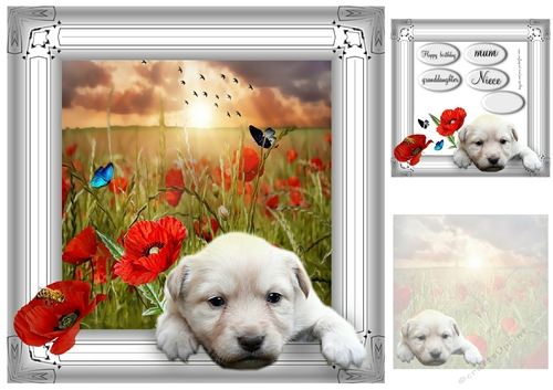 poppies and puppy