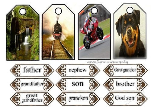 male tags