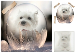 westie snowdrop