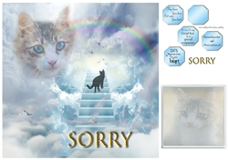 loss of a cat