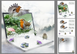 robin