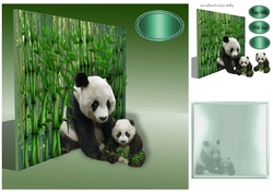 through the bamboo