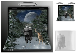 moonlight walk
