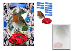 robin