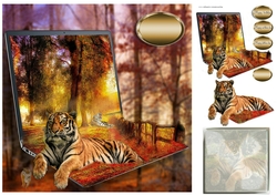 resting tigers