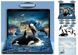 whales in the wild