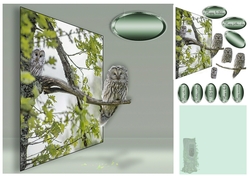 owls