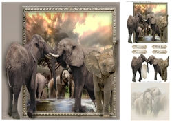 elephants at play