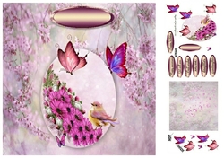butterflies and flowers