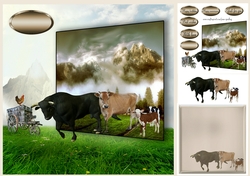 roaming cows