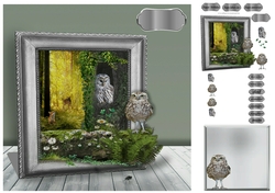 owls