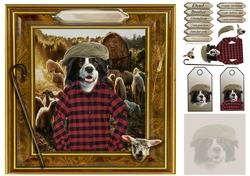 sheep dog
