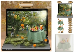 the orange grove