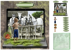 at the stables