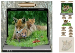 fox family