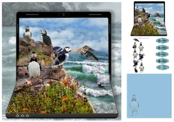 puffin island