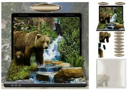 bear and cub