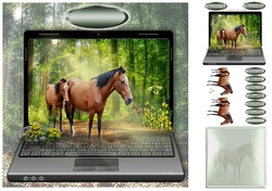 horse and foal