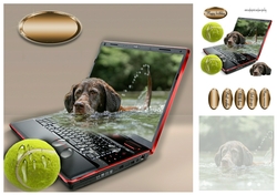 fetch