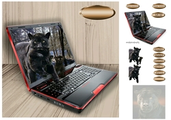 black panther