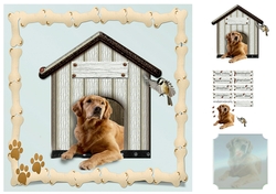 dog in frame
