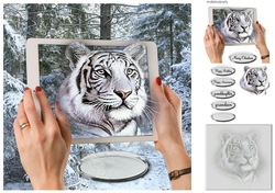 A tiger in a i-pad