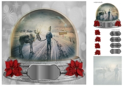 to the north pole