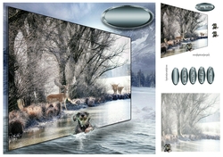 winter swim