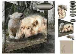 cub