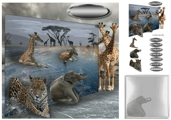 ice in Africa