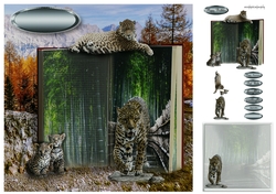 big cats book