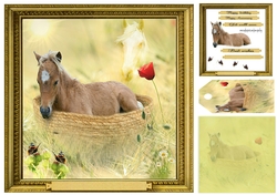 foal in a basket