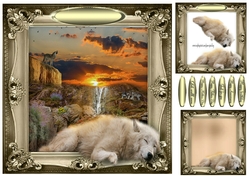 sleeping wolf