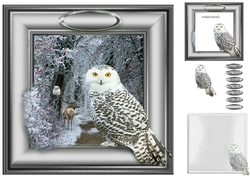 winter owl