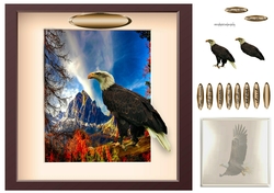 framed eagle
