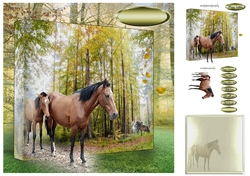 horse and foal