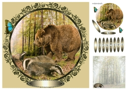 badgers and a bear