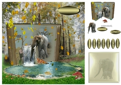 elephant book