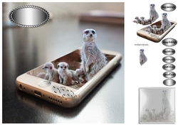 meerkat and babies