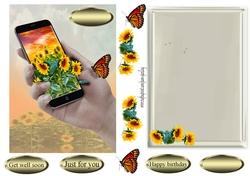 butterfly and flowers