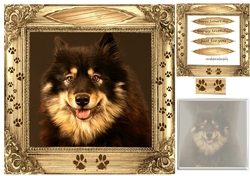dog in a frame