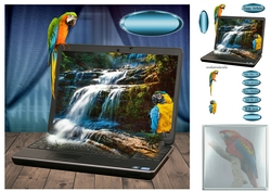 laptop parrots