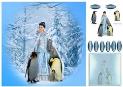 enchanted penguins