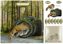 jaguar and cub
