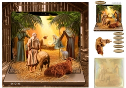 in a stable