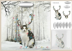 cat in lights