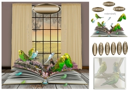 book on budgies