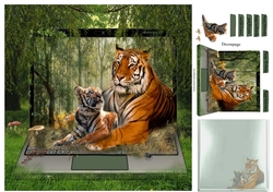tigers love