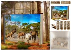 wild horses